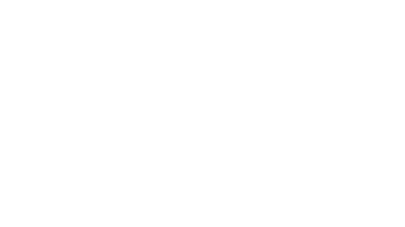 BDS Mechanical Repairs Logo